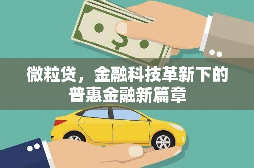 西丰微粒贷，金融科技革新下的普惠金融新篇章