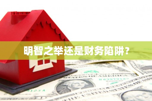 湘东明智之举还是财务陷阱？