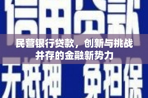 龙潭民营银行贷款，创新与挑战并存的金融新势力
