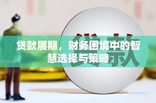 永新贷款展期，财务困境中的智慧选择与策略