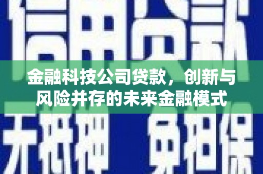 张北金融科技公司贷款，创新与风险并存的未来金融模式