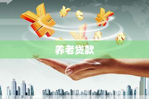 松北养老贷款
