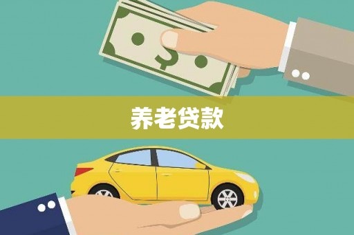 广水养老贷款