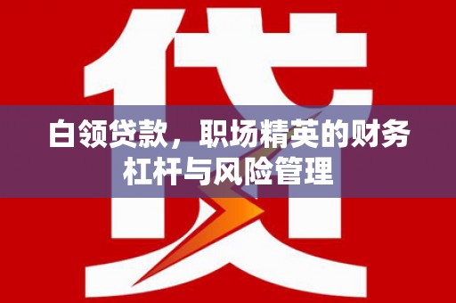 沙坪坝白领贷款，职场精英的财务杠杆与风险管理