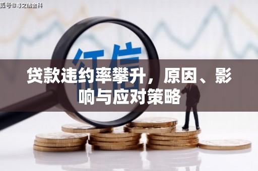阿莲贷款违约率攀升，原因、影响与应对策略
