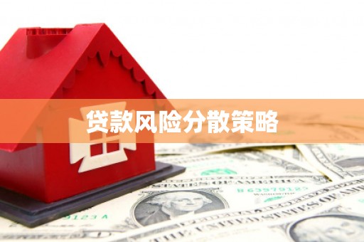 九原贷款风险分散策略