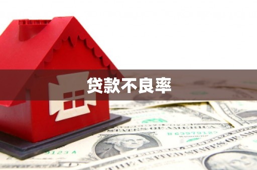 怀化贷款不良率