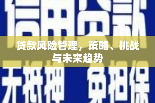 安居贷款风险管理，策略、挑战与未来趋势