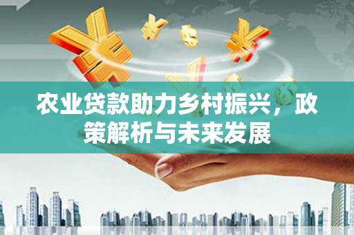 沙湾农业贷款助力乡村振兴，政策解析与未来发展