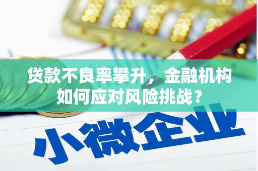 索县贷款不良率攀升，金融机构如何应对风险挑战？