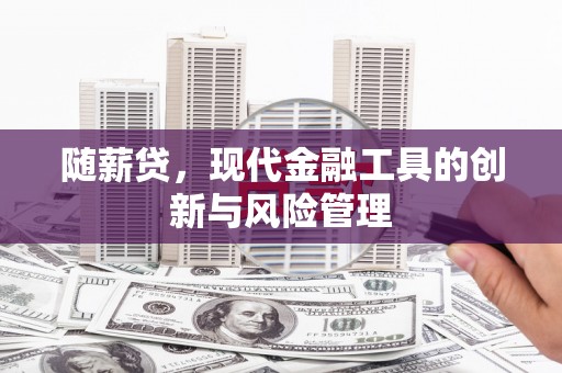 钢城随薪贷，现代金融工具的创新与风险管理