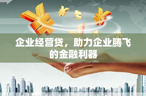 云龙企业经营贷，助力企业腾飞的金融利器