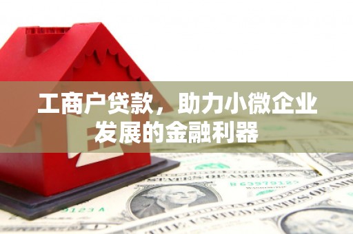 衡东工商户贷款，助力小微企业发展的金融利器