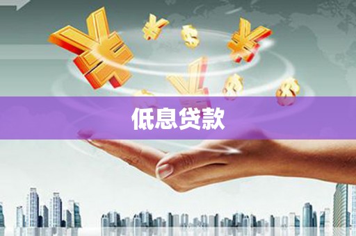 桐城低息贷款