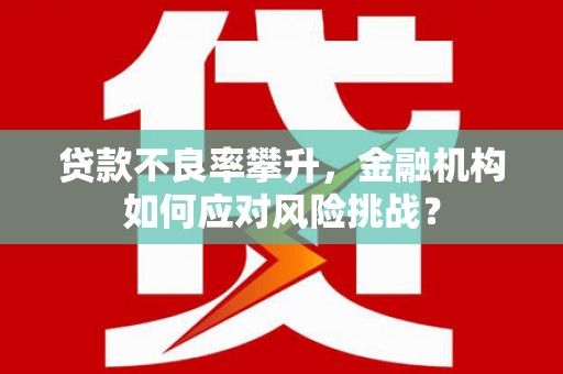 上林贷款不良率攀升，金融机构如何应对风险挑战？