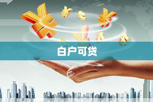 盐津白户可贷