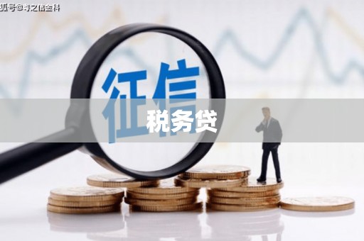 毕节税务贷