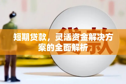 循化短期贷款，灵活资金解决方案的全面解析