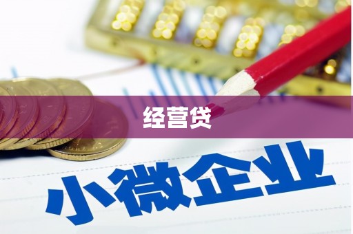 广水经营贷