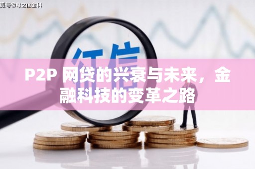 墨江P2P 网贷的兴衰与未来，金融科技的变革之路
