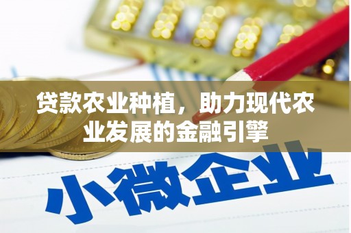 荥阳贷款农业种植，助力现代农业发展的金融引擎