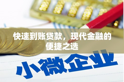 公安快速到账贷款，现代金融的便捷之选