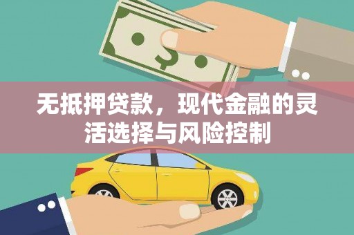 尼玛无抵押贷款，现代金融的灵活选择与风险控制