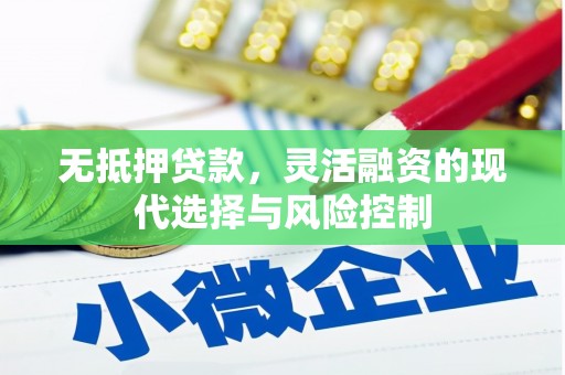 莿桐无抵押贷款，灵活融资的现代选择与风险控制
