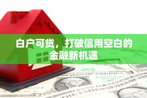 奎文白户可贷，打破信用空白的金融新机遇