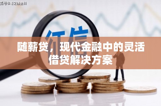 台西随薪贷，现代金融中的灵活借贷解决方案