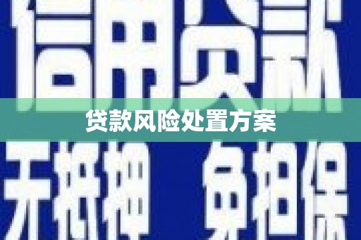 枋山贷款风险处置方案