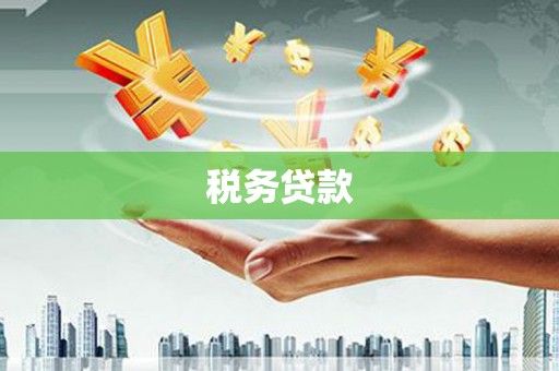 扶绥税务贷款