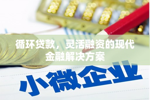 东乌旗循环贷款，灵活融资的现代金融解决方案