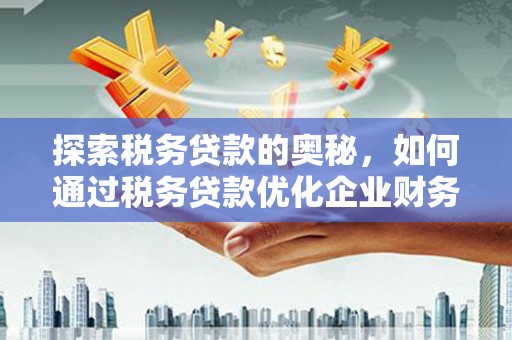 回民探索税务贷款的奥秘，如何通过税务贷款优化企业财务