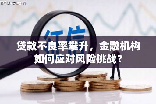 南充贷款不良率攀升，金融机构如何应对风险挑战？