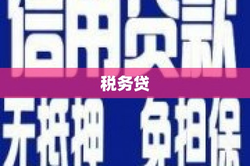 安远税务贷