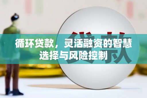 攀枝花循环贷款，灵活融资的智慧选择与风险控制