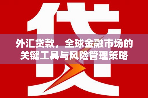 靖西外汇贷款，全球金融市场的关键工具与风险管理策略