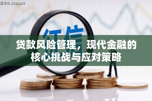 桃山贷款风险管理，现代金融的核心挑战与应对策略