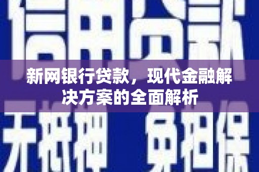 美浓新网银行贷款，现代金融解决方案的全面解析