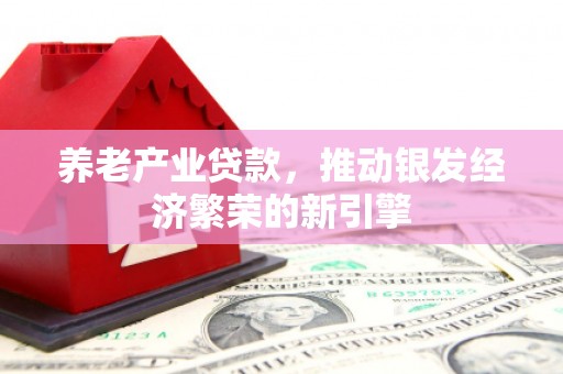 东坡养老产业贷款，推动银发经济繁荣的新引擎