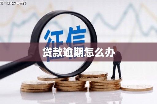 大甲贷款逾期怎么办