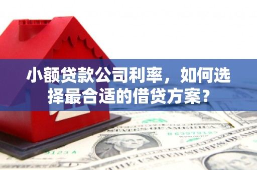 达州小额贷款公司利率，如何选择最合适的借贷方案？
