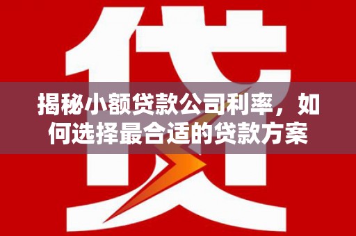 长寿揭秘小额贷款公司利率，如何选择最合适的贷款方案