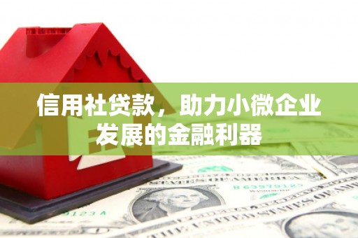 西盟信用社贷款，助力小微企业发展的金融利器