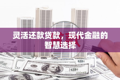 洱源灵活还款贷款，现代金融的智慧选择