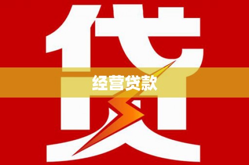 莲都经营贷款