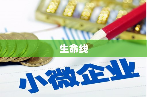 遂宁生命线