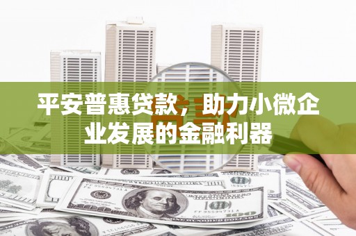 湟源平安普惠贷款，助力小微企业发展的金融利器