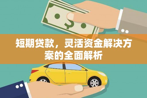 九原短期贷款，灵活资金解决方案的全面解析